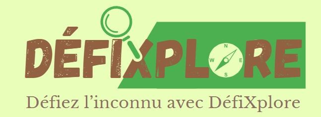 defiXplore